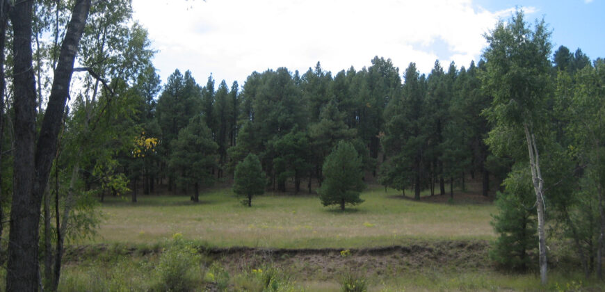Ponderosa Meadows in Luna, New Mexico